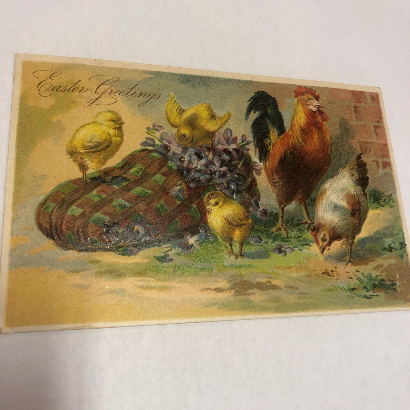 Fabulous Vintage Easter Rooster, Hen Chicks with Old Shoe Slipper Postcard