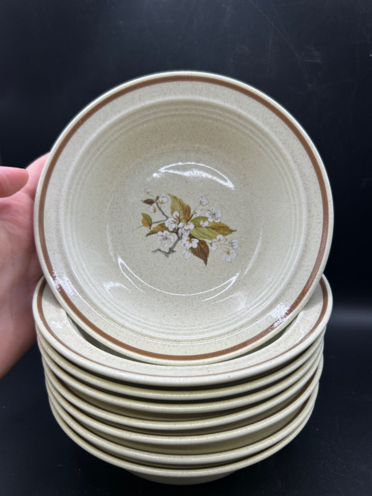 Royal Doulton WILD CHERRY 8 Soup Bowls Made in England Lambethware 1979