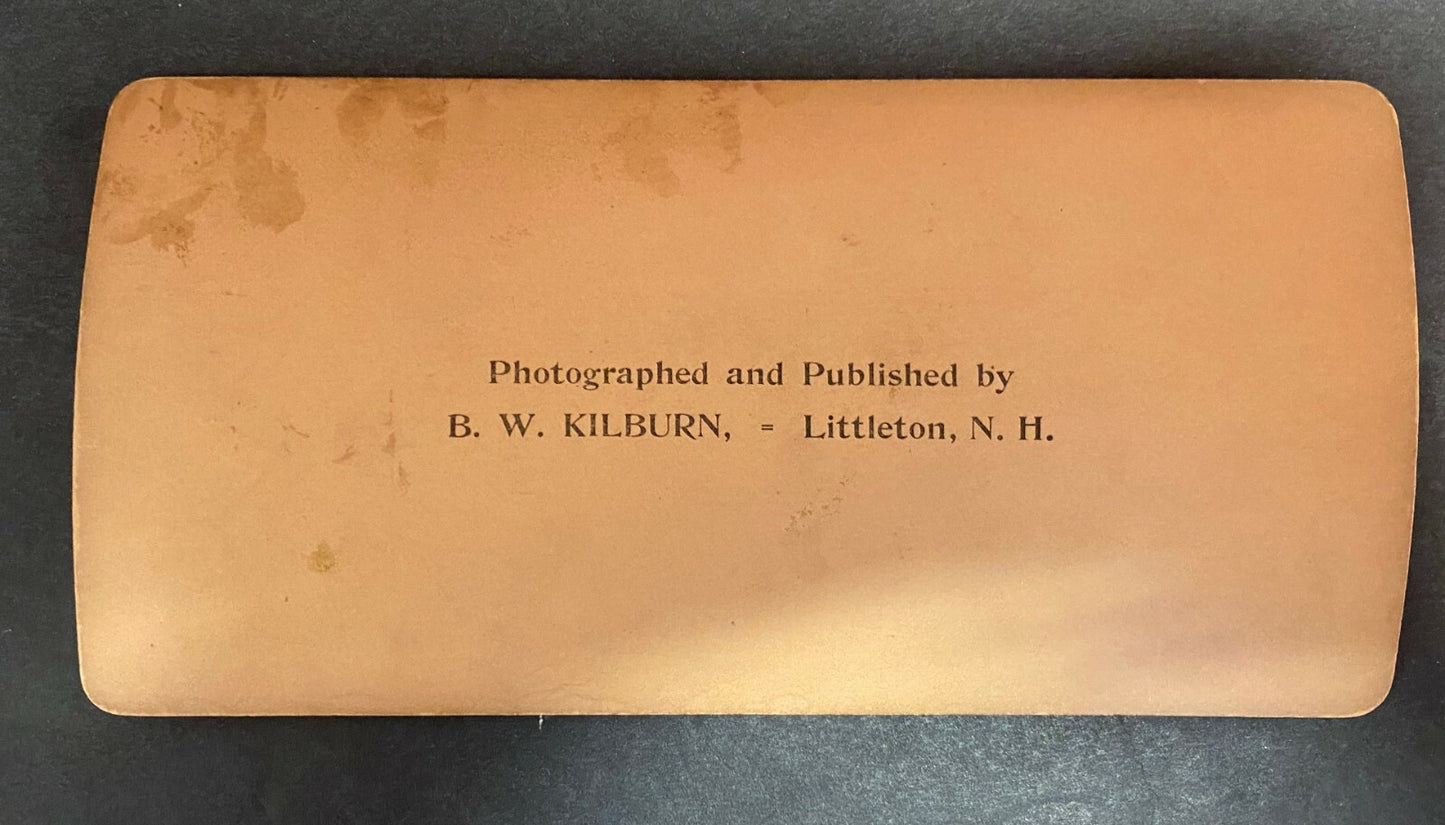 Real Photo Stereoview Majesty and Beauty in Soldiery Diamond Jubilee London 1897