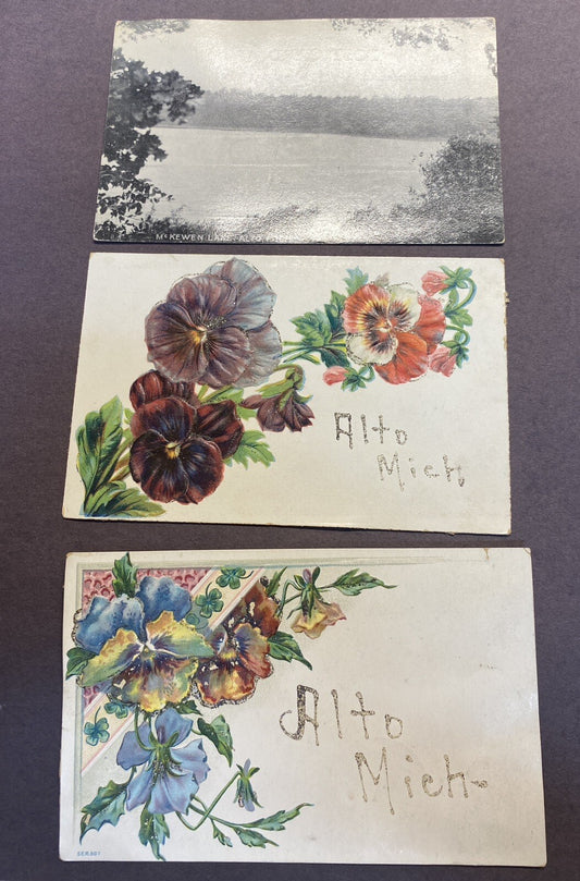Lot of 3 Alto Michigan Mich MI Postcard Flowers & McKewen Lake