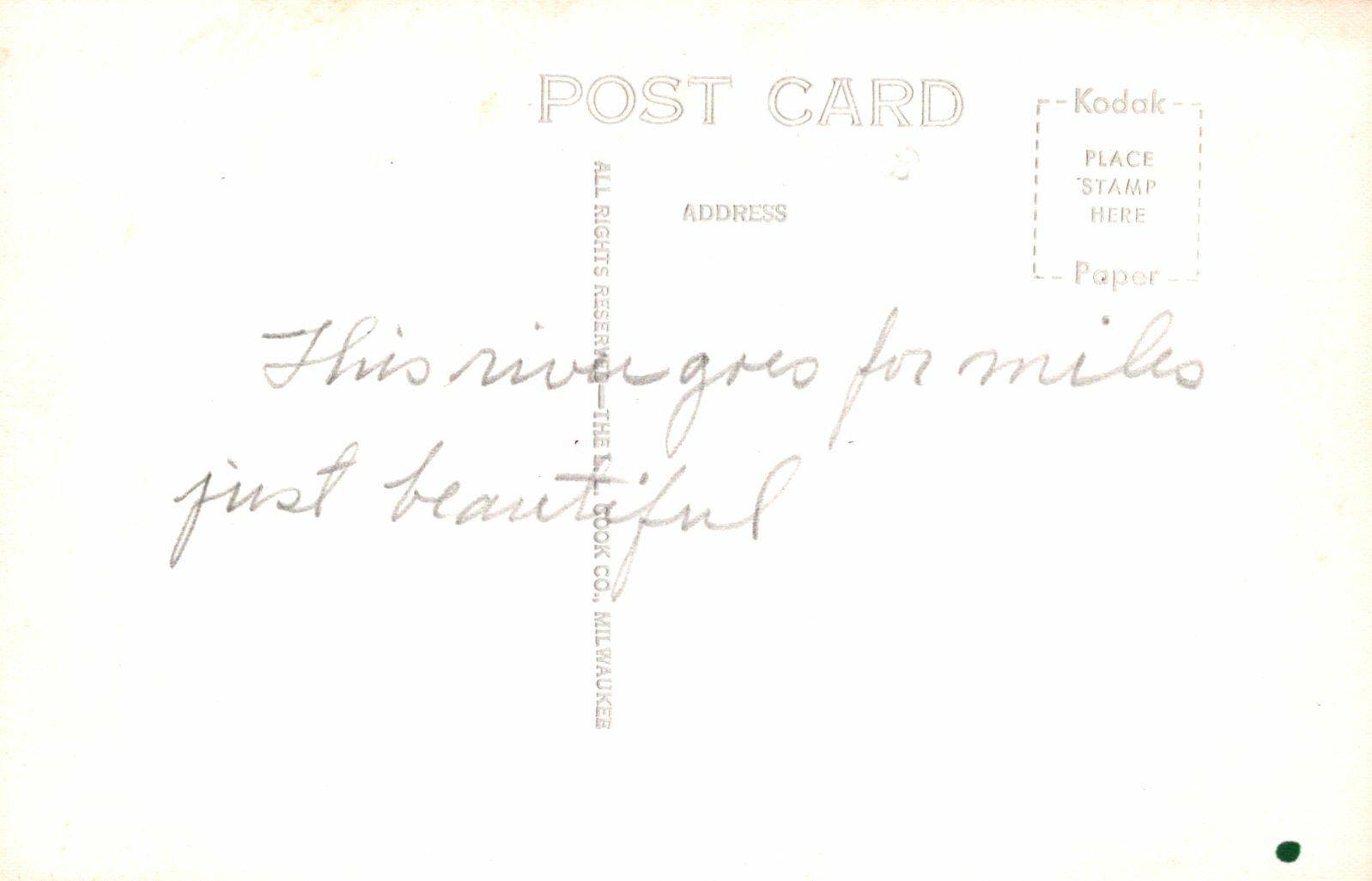 Real Photo Muskegon River at Croton Michigan MI Mich Postcard