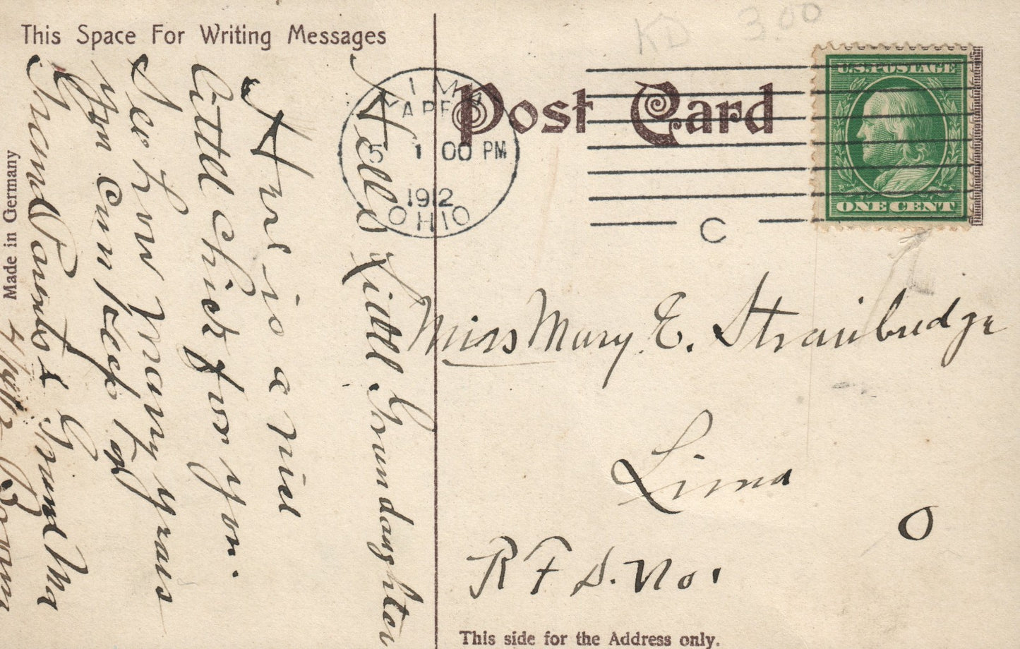 Chick placed Next To Pink Rose and Blue Flowers Joyful Easter Postcard