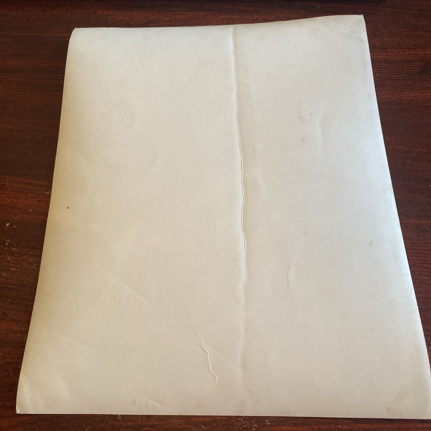 Hollywood Moviestar Elizabeth Risdon AUTOGRAPHED INK Real PHOTO 8 x 10