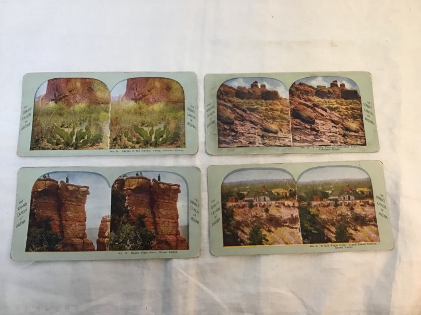 7  Grand Canyon of Arizona AZ Cactus Hotel Station  stereoview set 