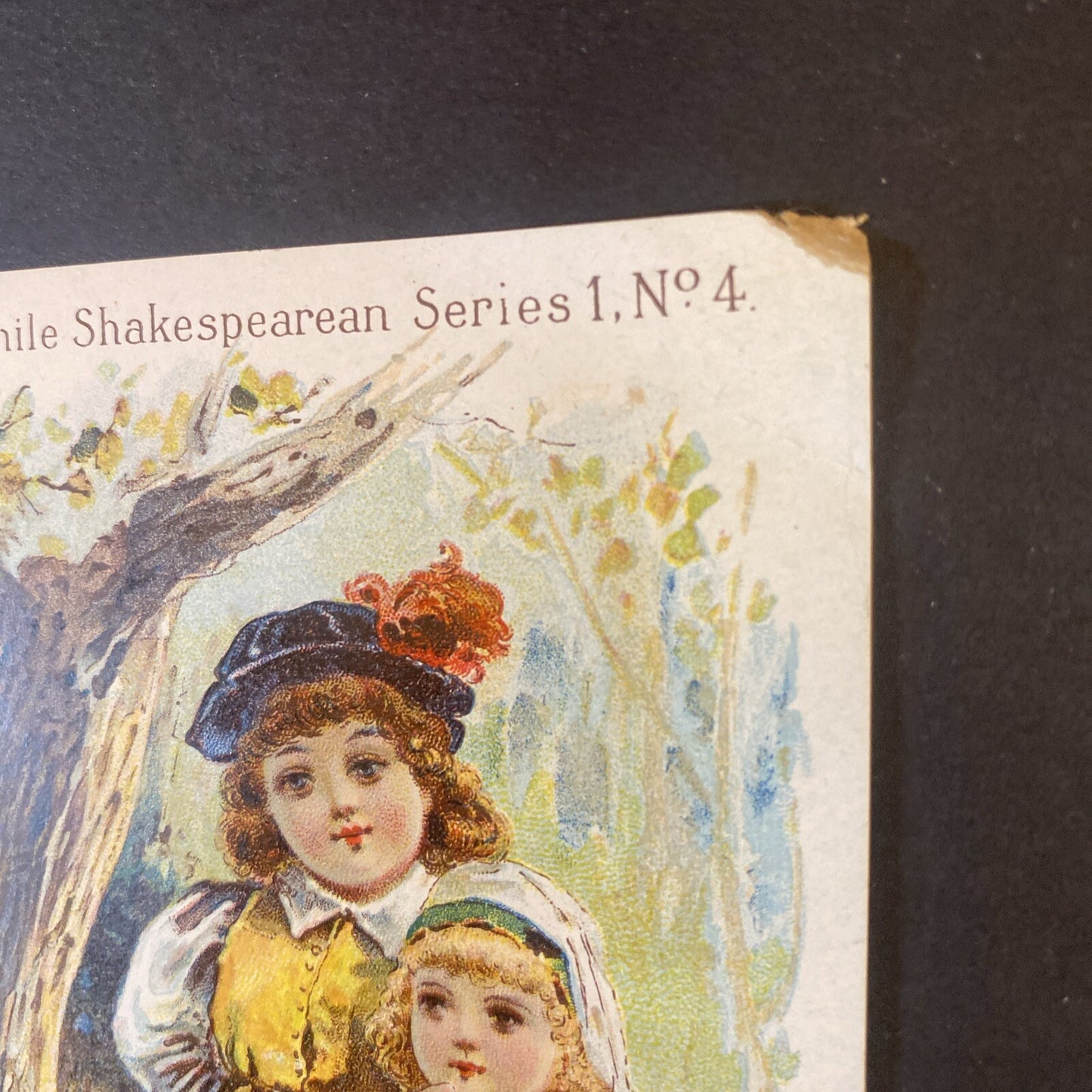 H E Bucklen 1895 Dr Kings New Discovery Shakespeare Victorian Trade Card # 4