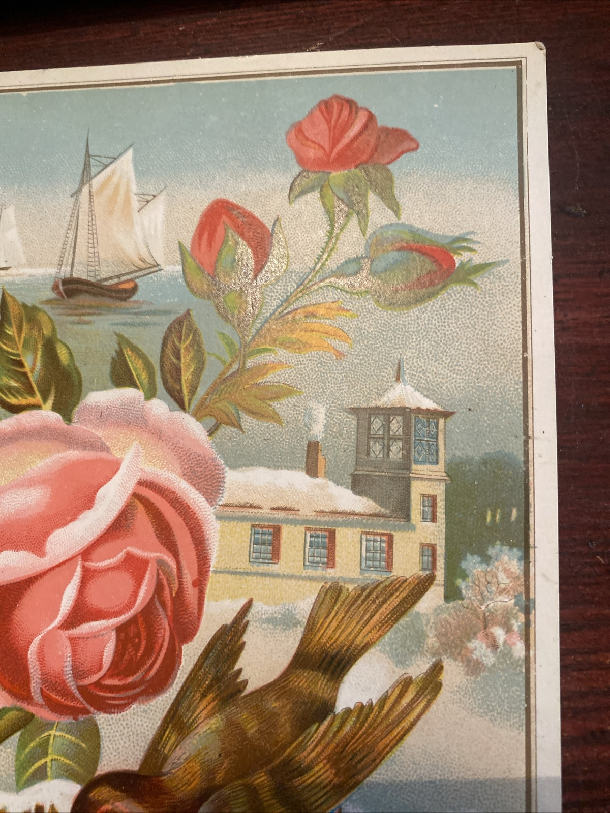 Reward of merit Vintage Victorian School Ephemera  Gibson & Co Bird Rose