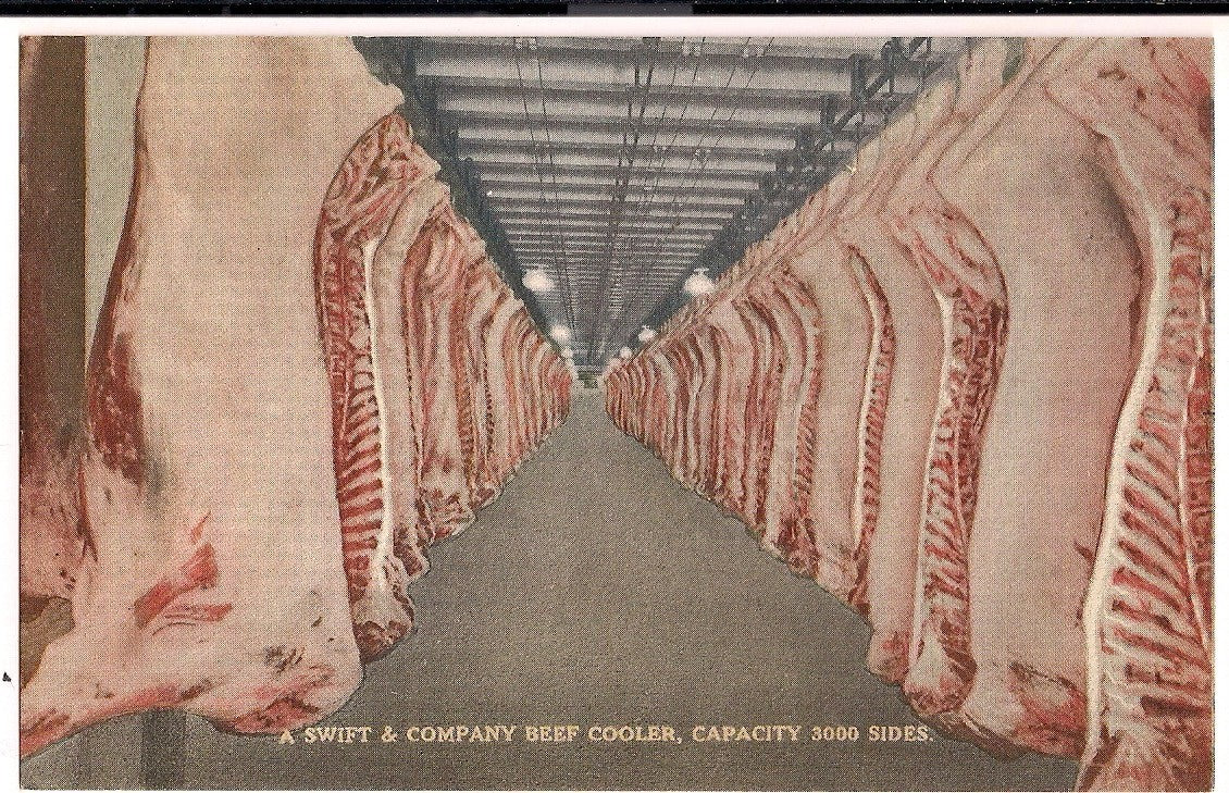 Swift & Company Beef Cooler Chicago Il ILL Illinois Postcard