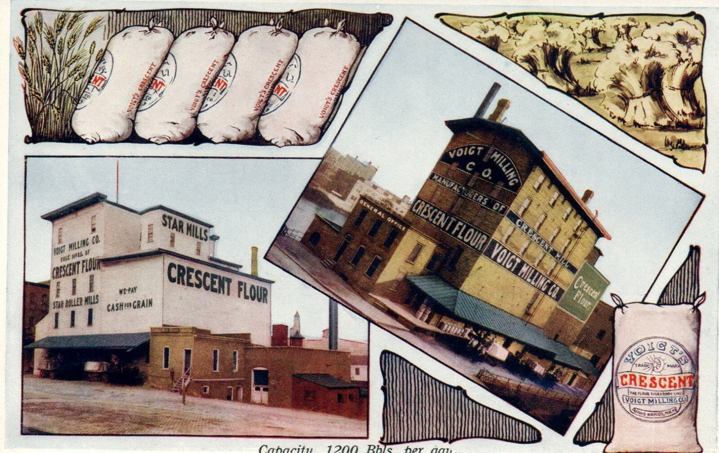 Star Mills Voigt Milling Crescent Flower Grand Rapids Michigan MI Postcard 