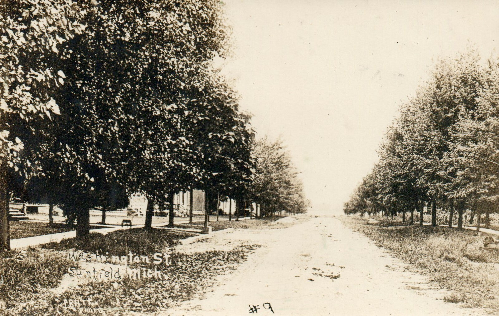 Real Photo Washington Street #9 Sunfield Michigan MI Postcard
