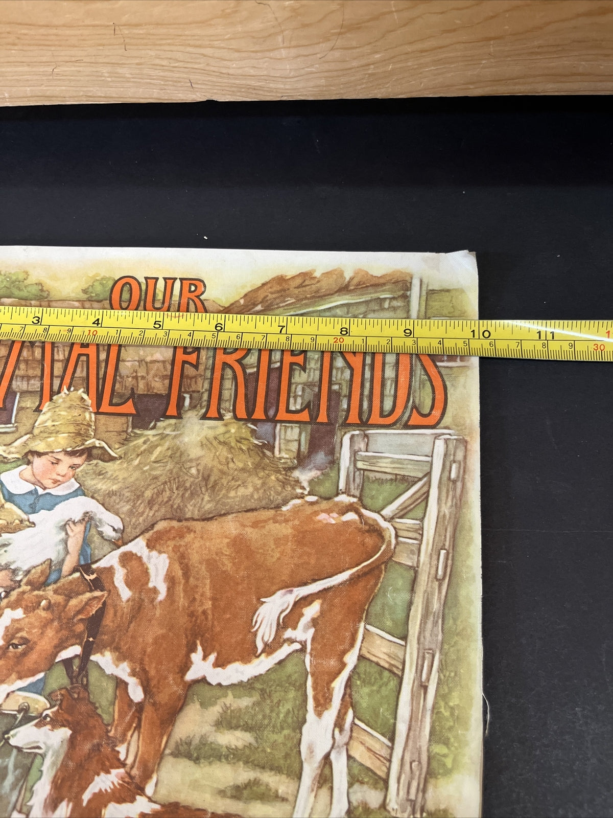 RARE 1927 OUR ANIMAL FRIENDS, Platt and Munk, LINEN Very Good +++ condition