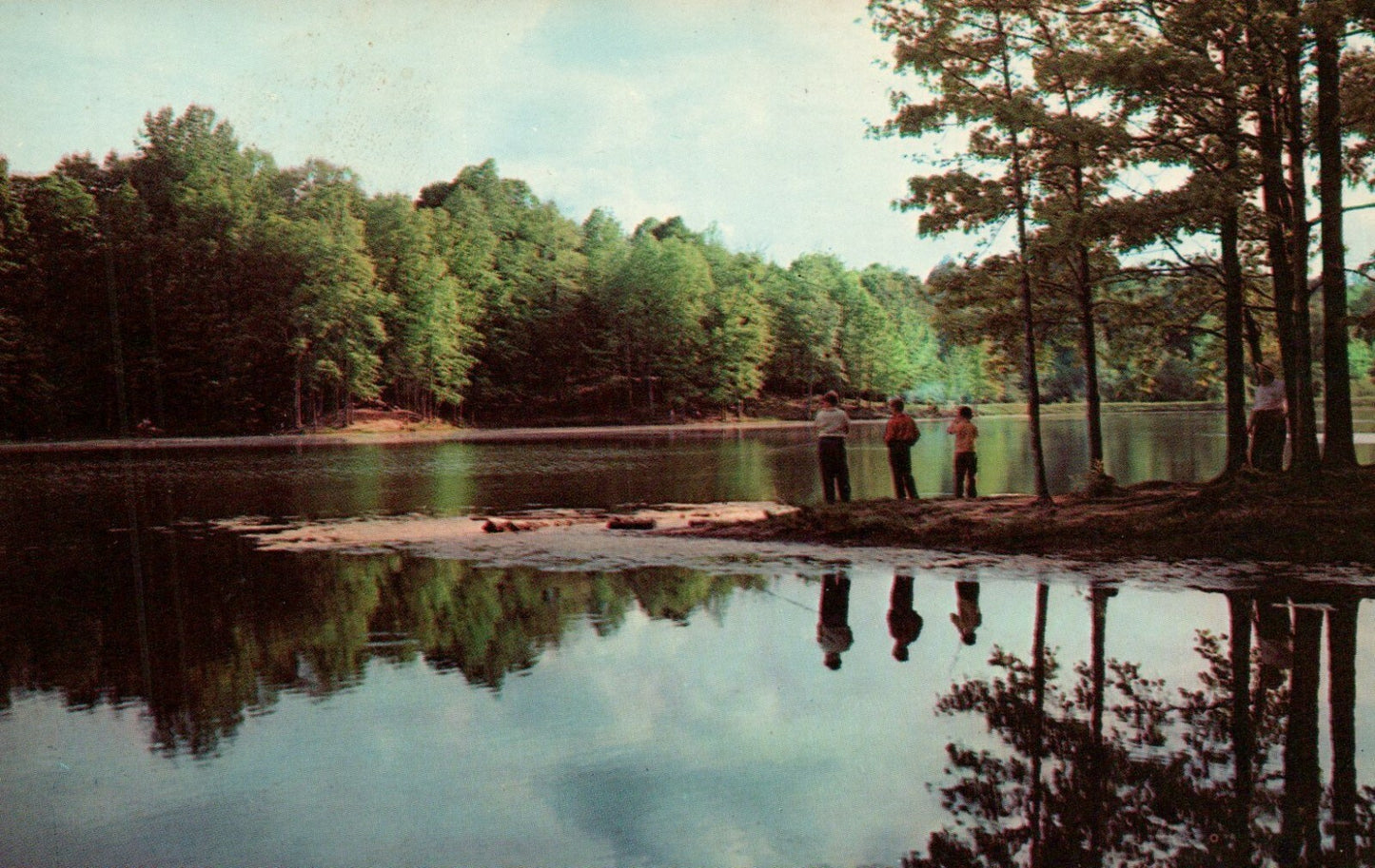 Lake In Shelby Forest State Park Lucy TN Tennessee Postcard