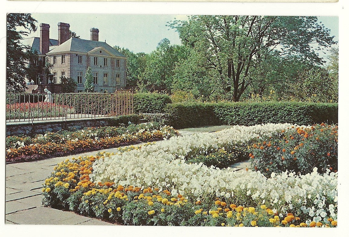 Petunia and Marigold Kingwood Center Mansfield OH Ohio  Postcard