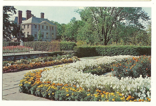 Petunia and Marigold Kingwood Center Mansfield OH Ohio  Postcard