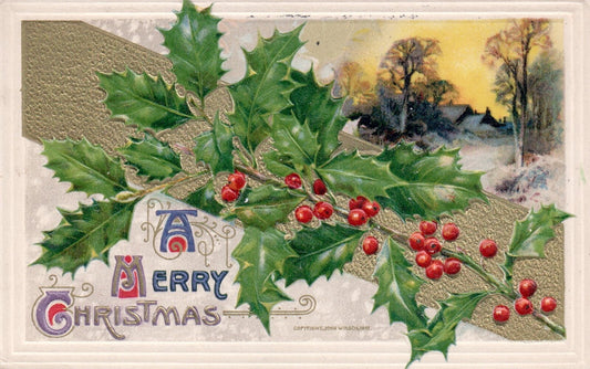 John Winsch A Merry Christmas Gold Embossed Holly & Snowy Homes Vintage Postcard