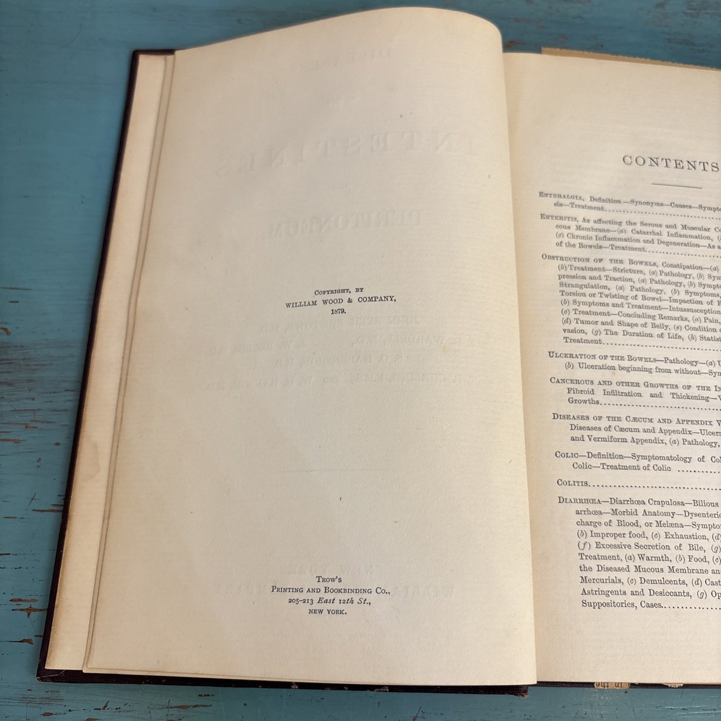 Diseases of the Intestines and Peritoneum 1879 Woods Library of Standard Medical