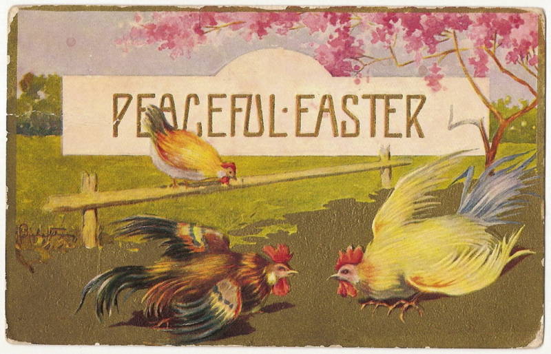 Artist Signed Rooster Hen chicken Easter Postcard Series