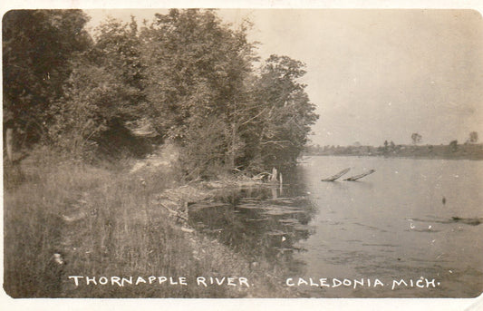 Real Photo of the Thornapple River in Caledonia Mich Mi Michigan Postcard