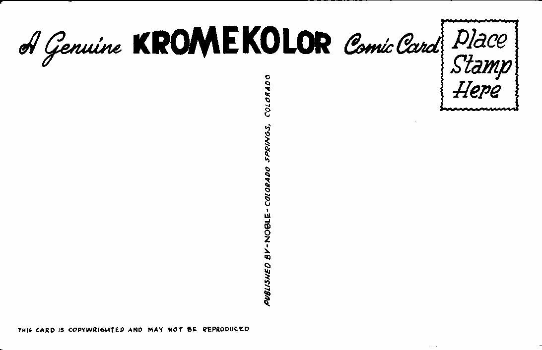 Couple on Honeymoon He Wants to go Fishing Angry Wife Comic Postcard