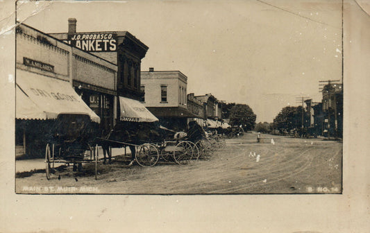 1910 Real Photo Main Street Muir Michigan MI Postcard B No 14