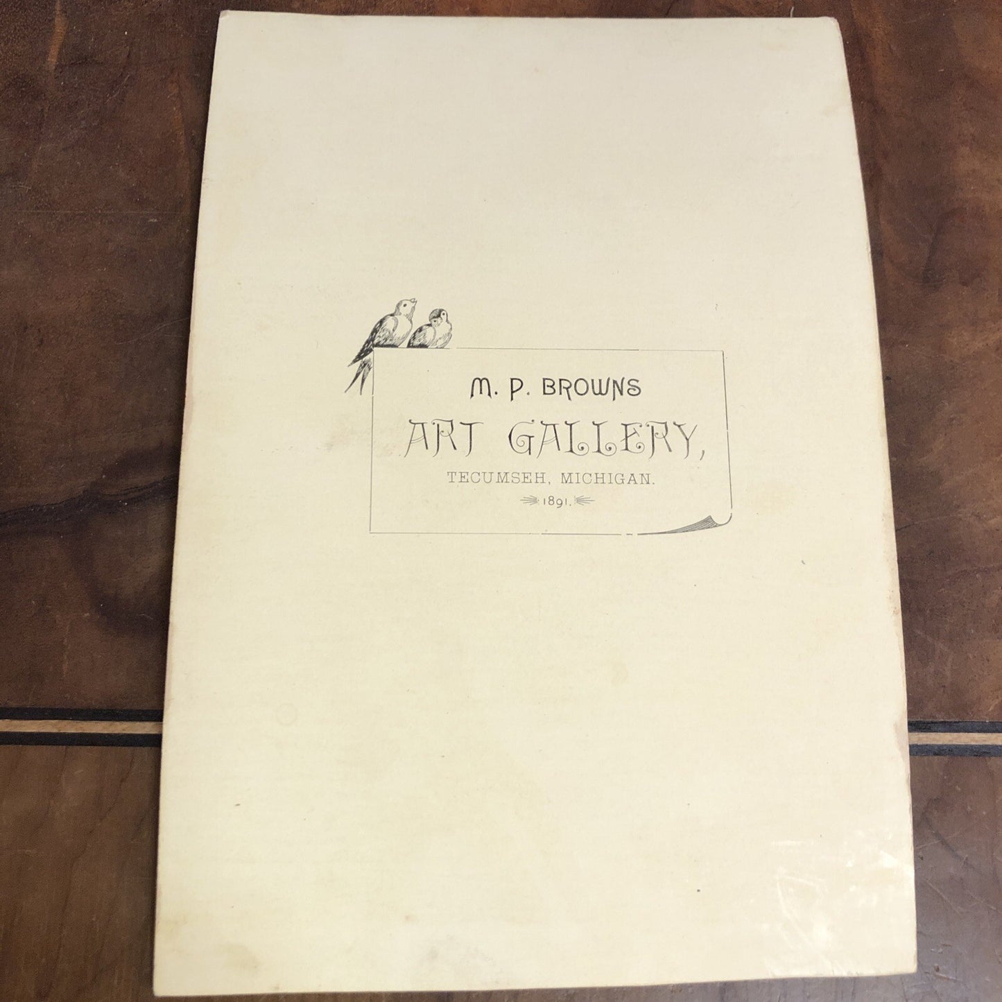 Victorian Real Photo CDV Baby long gown MP Browns Art Gallery Tecumseh MI 1891