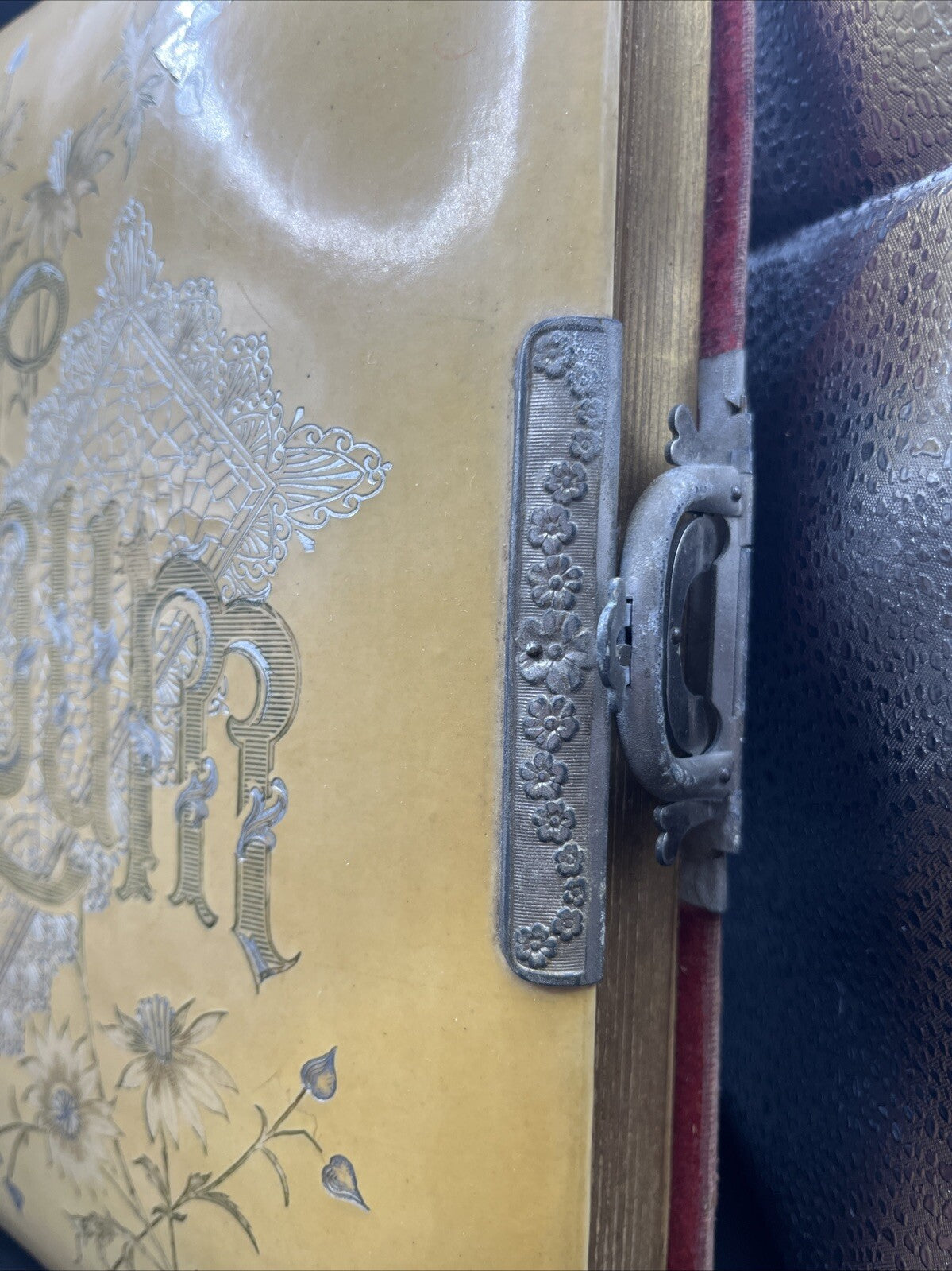 Antique Victorian Celluloid Photo Album