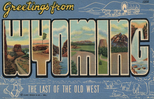 Wyoming WY The last of the Old West Large Letter  Postcard