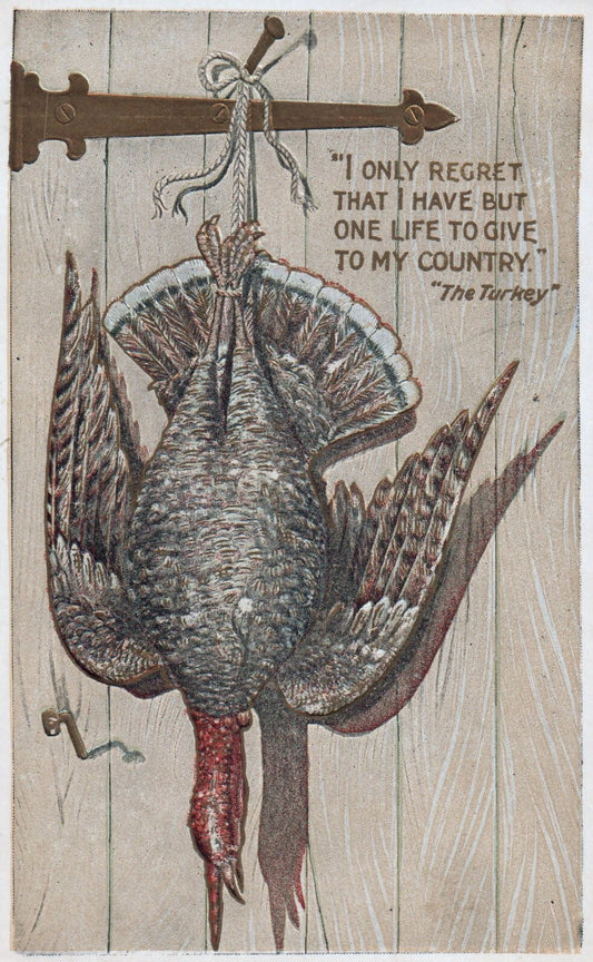 Gold Embossed The Turkeys Only "Regret" Vintage Thanksgiving Postcard