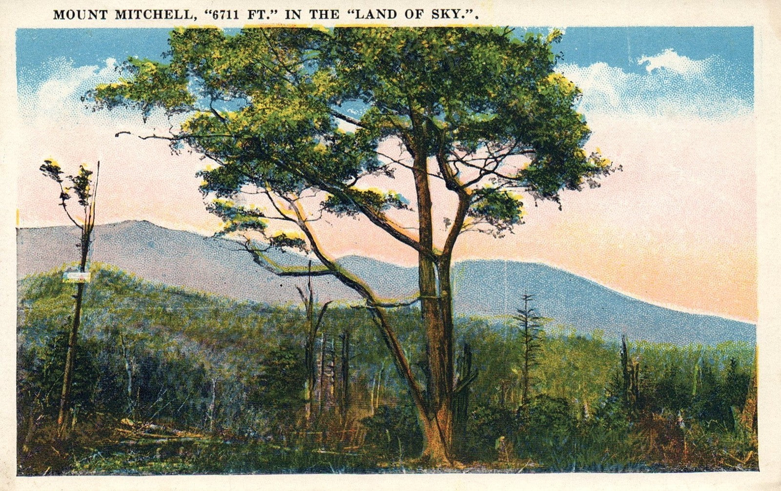 Mount Mitchell In the "Land of Sky" Beautiful Sky in NC North Carolina Postcard