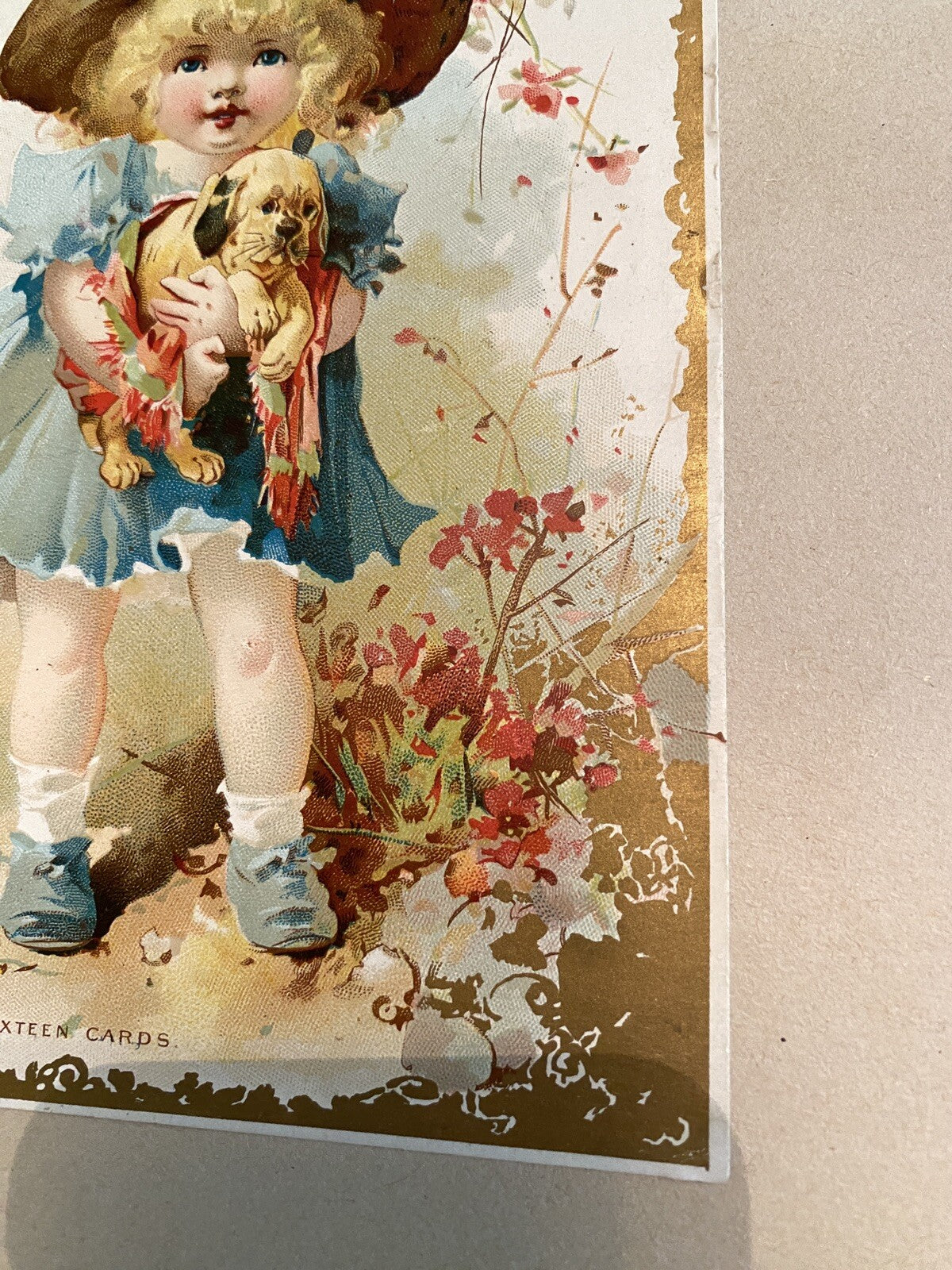 Mclaughlin's coffee Trade Trading Advertising Card girl Dog 7 x 5.5"