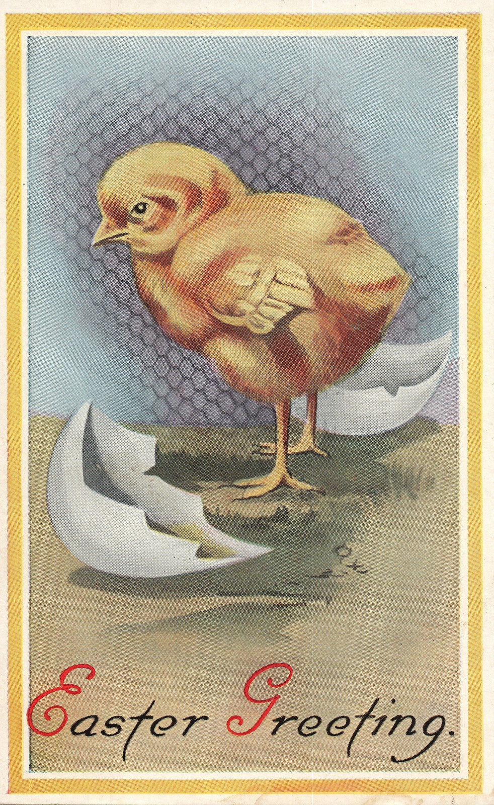Simple Nice Larged Hatched Chick Easter Chick Postcard