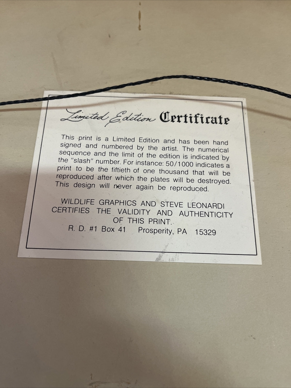 Framed Steve Leonardi Wildlife Graphics ~Robin~ Signed & # Limited Edition Print