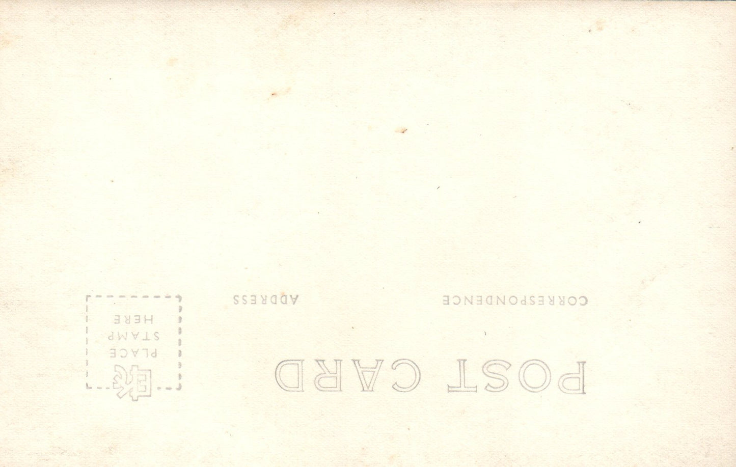 Old Oregon Trail in the Blue Mountains Oregon OR Real Photo Post Card RPPC