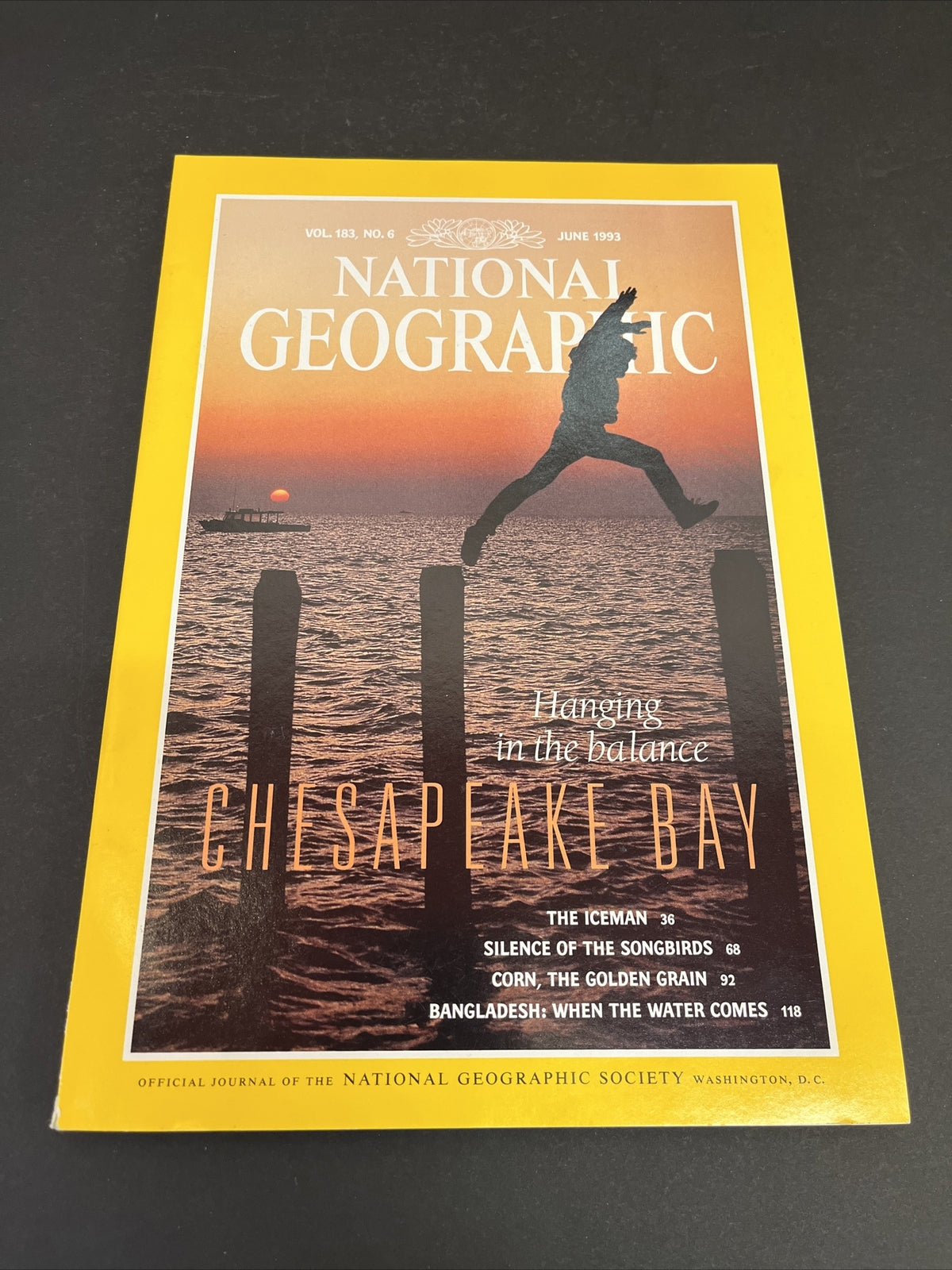 June 1993 National Geographic Magazine "Hanging in the Balance: Chesapeake Bay"