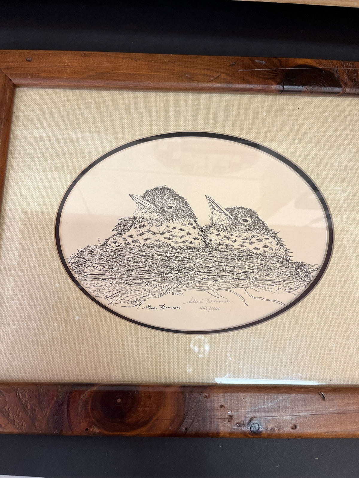 Framed Steve Leonardi Wildlife Graphics ~Robin~ Signed & # Limited Edition Print