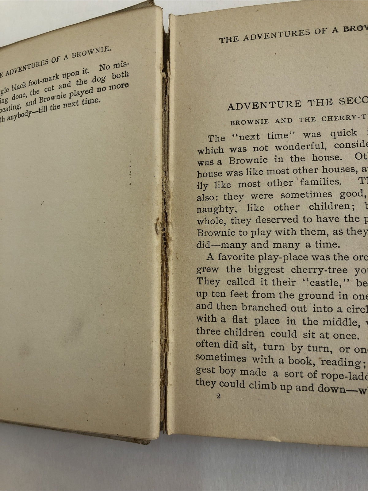 Adventures of a Brownie book Mulock