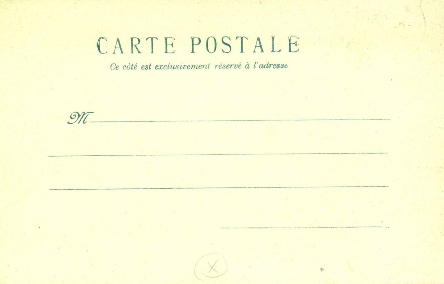 Adorable Cartoon Pigs Playing in Water Pigs in Swimsuits Vintage Pig Postcard