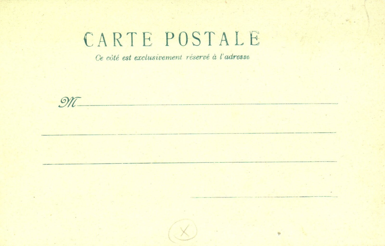 Adorable Cartoon Pigs Playing in Water Pigs in Swimsuits Vintage Pig Postcard