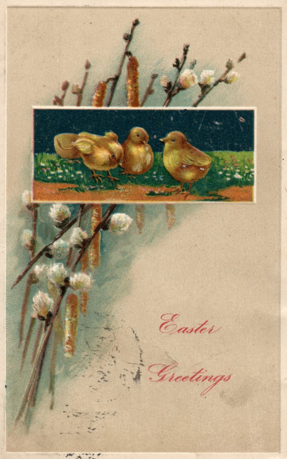 Chicks White Flowers Easter Greetings Postcard