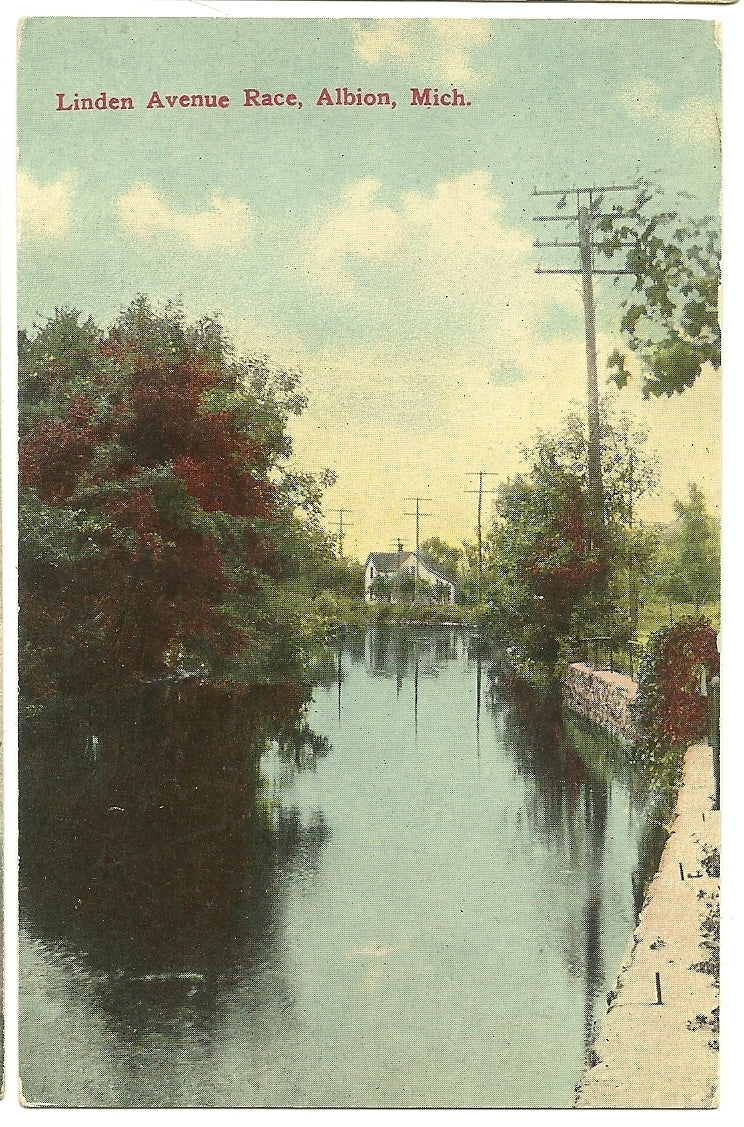 Linden Avenue Race Albion MI Michigan  Postcard
