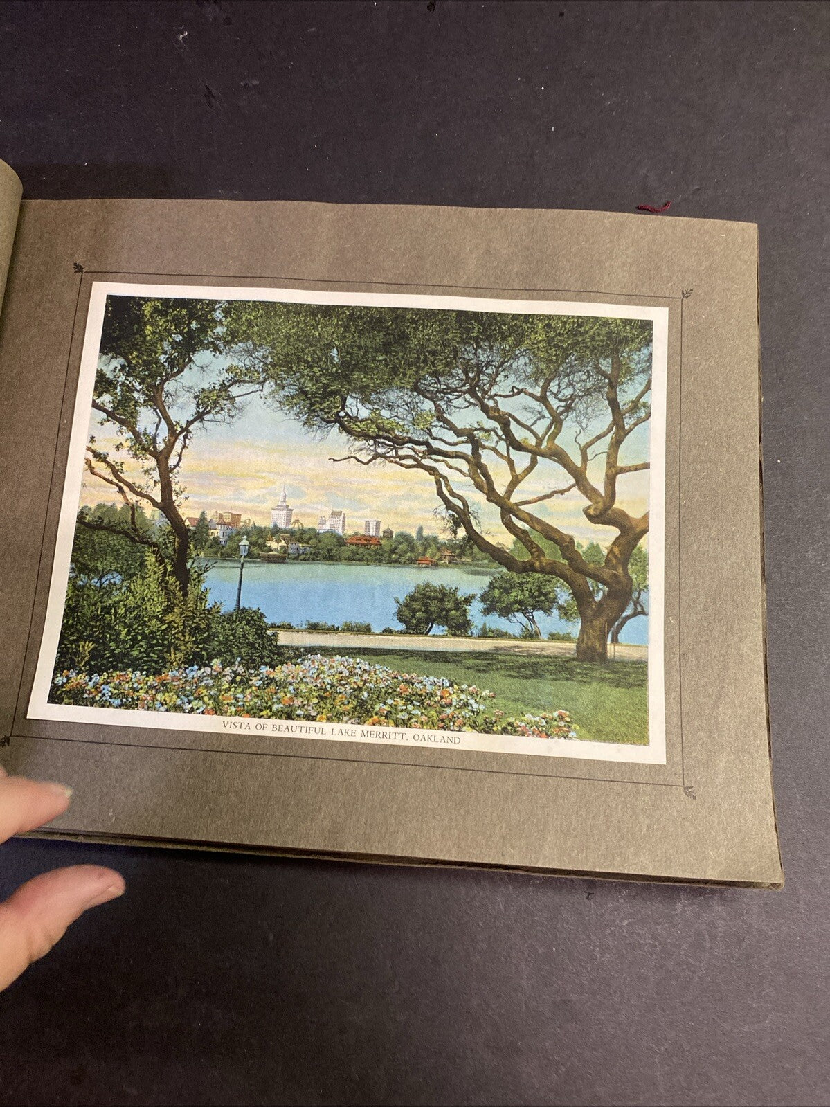 Antique The Shasta Route Along the Southern Pacific Railroad Pictorial Book 1915