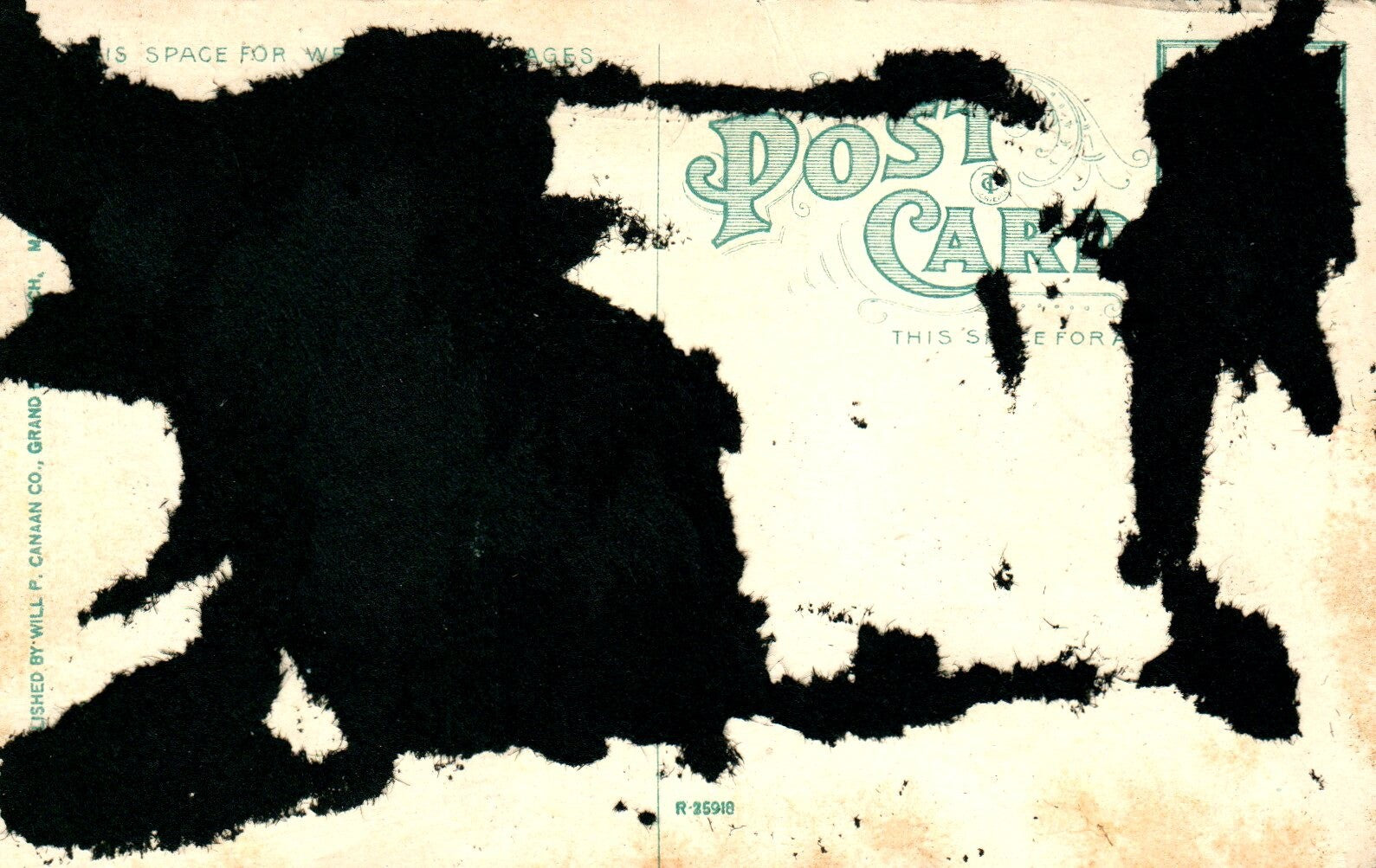 Birches Lincoln Park in Grand Rapids MI MICH MICHIGAN Postcard