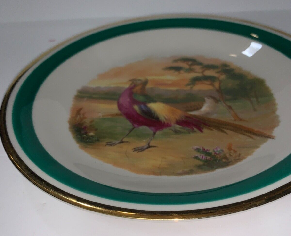 8in Porcelain German Pheasant Bird Plate Schwarzenhammer Germany Vintage Plate