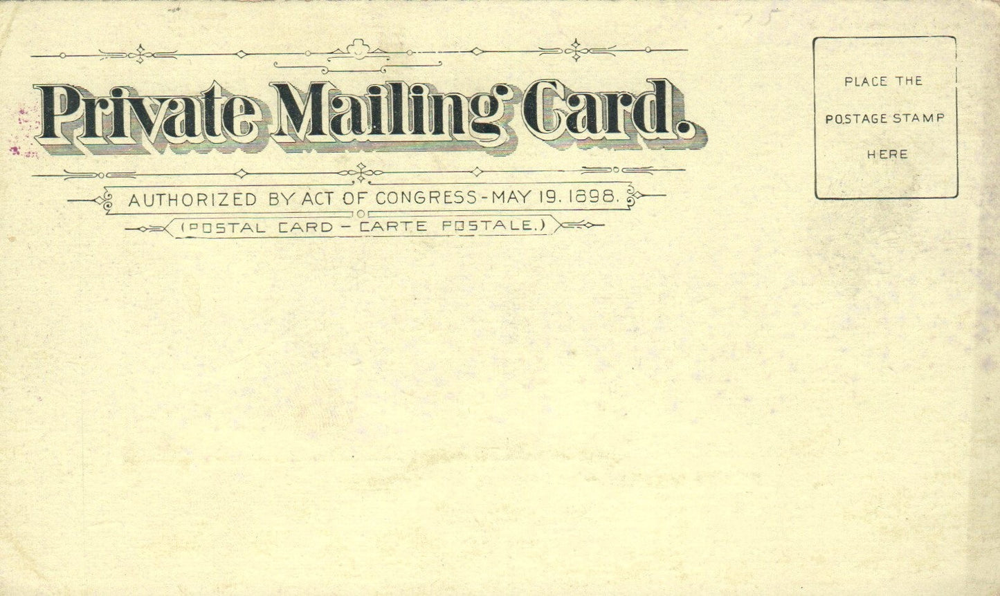 Peach Market Territorial St. Looking East in Benton Harbor Michigan MI Postcard