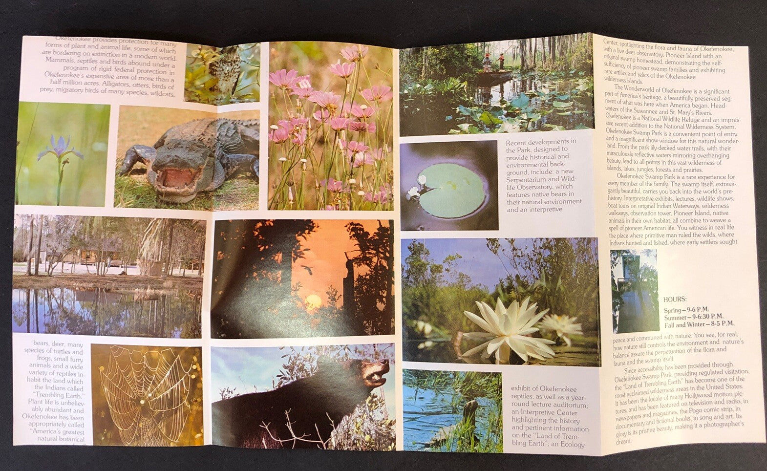 Okefenokee National Wildlife Refuge Travel Brochure Folkston Georgia 4 Fold