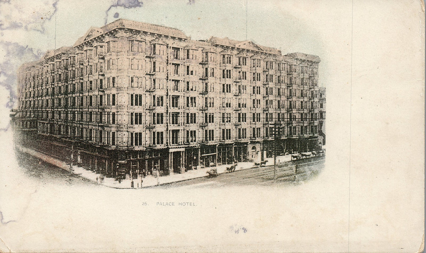 Palace Hotel No 26 Private Mailing Card Postcard Horse Carriages 7 Story Hotel