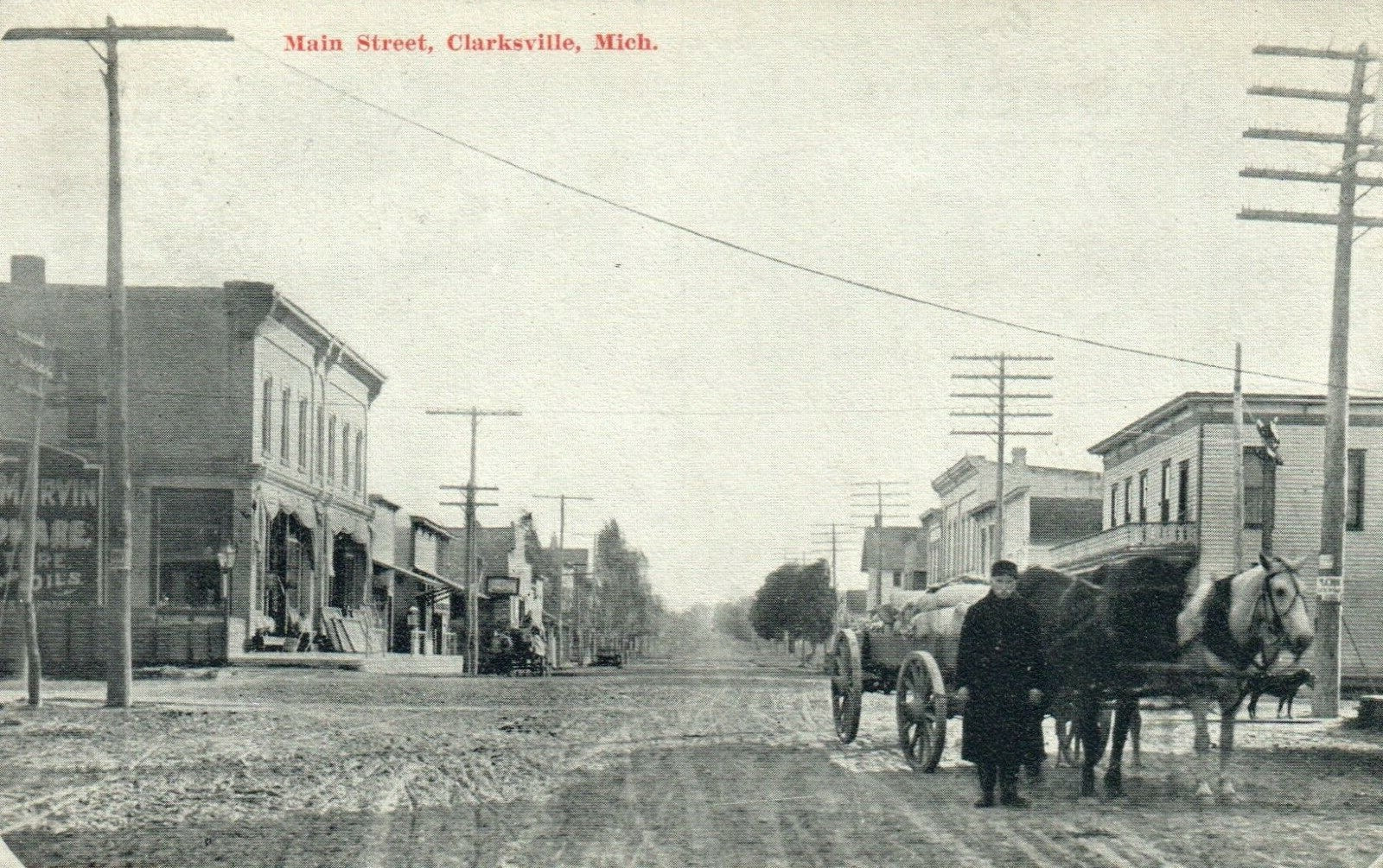 No 2102 Main Street Clarksville Horses Michigan MI Postcard 