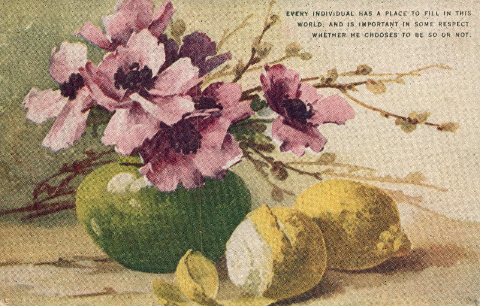  Still Life Fruit Lemons Pink Flowers postcard