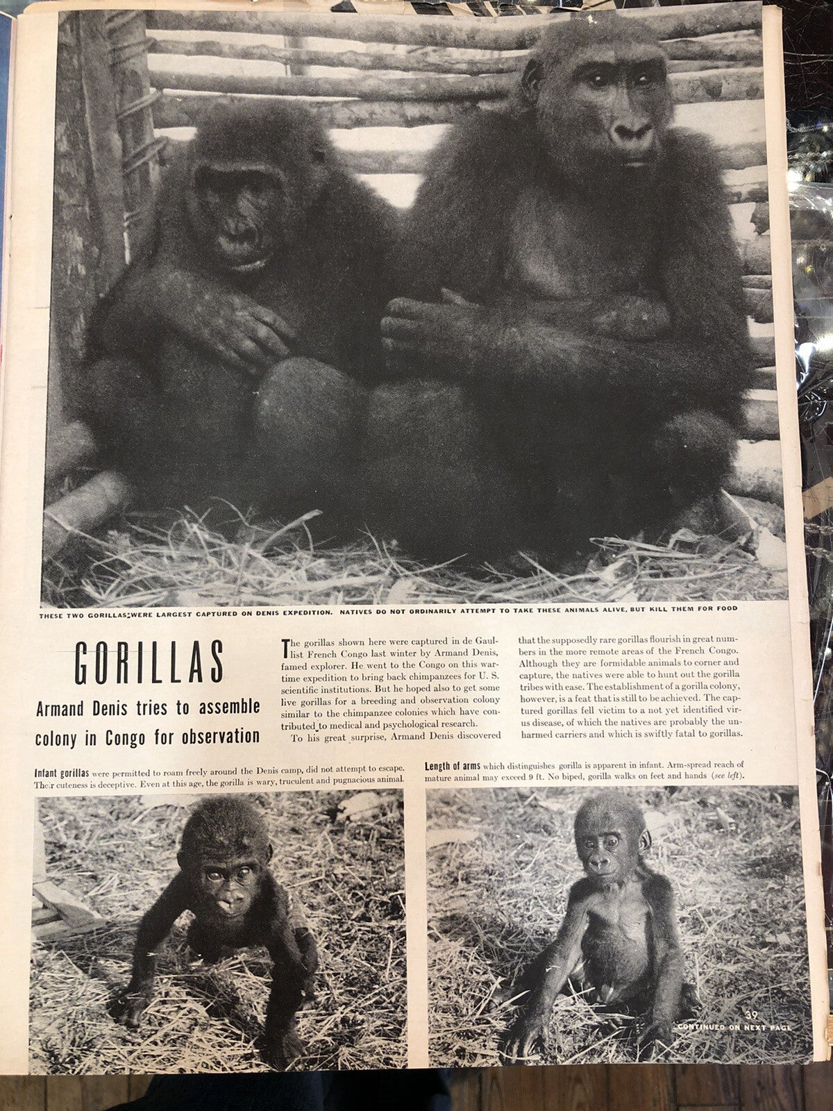 Vintage LIFE Magazine May 17, 1943 WWII BoyPower North Africa GREAT ADS