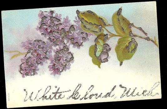 Glitter White Cloud Michigan MI Postcard