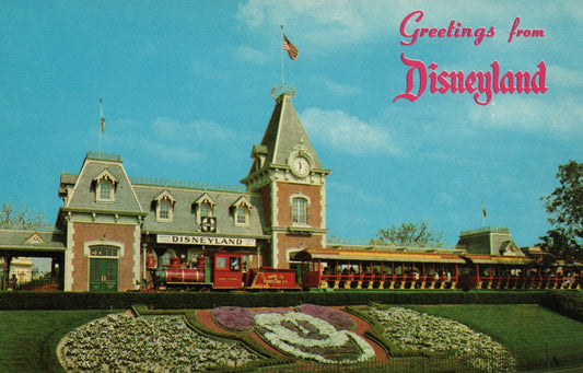 Greetings From Disneyland Entrance Floral Mickey Mouse Disney Amusement Park 